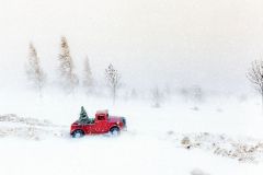 A red truck with a Christams Tree in it driving across a snowy landscape.