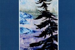 A pine tree in a winter scene