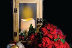 A painting of a candle with ornaments and poinsettias leaves in front
