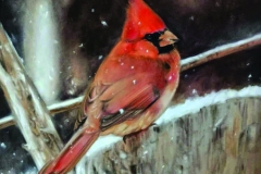 Cardinal