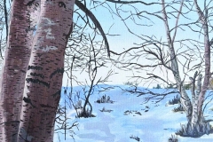 Winter's Path